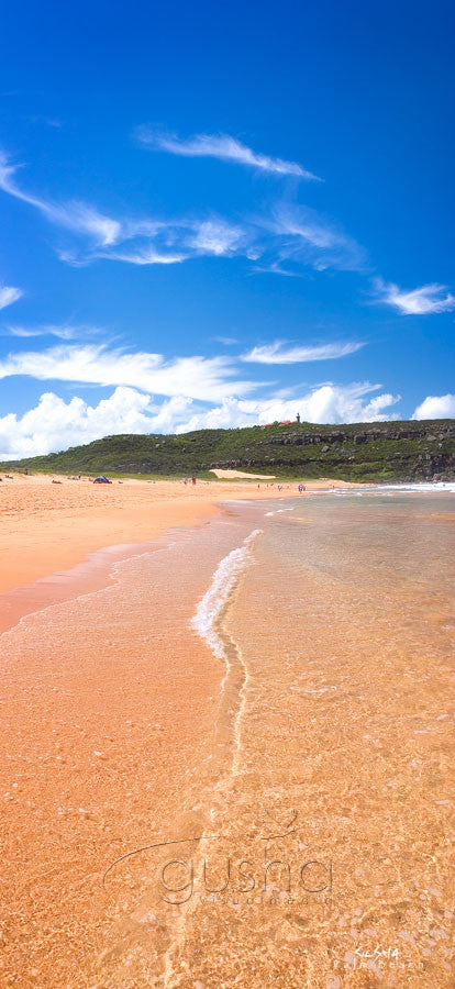 Photo of Palm Beach SYD0143 - Gusha