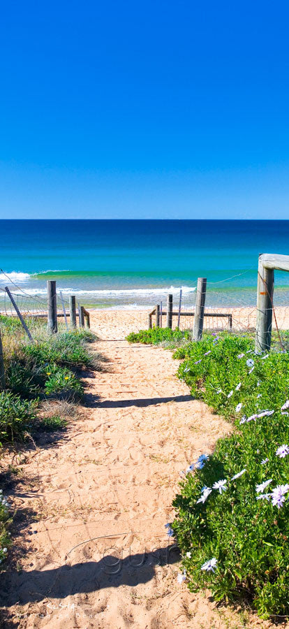 Photo of Northern Beaches SYD0320 - Gusha