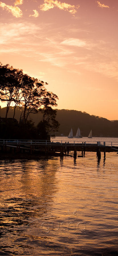 Photo of Taylors Point SYD0394 - Gusha