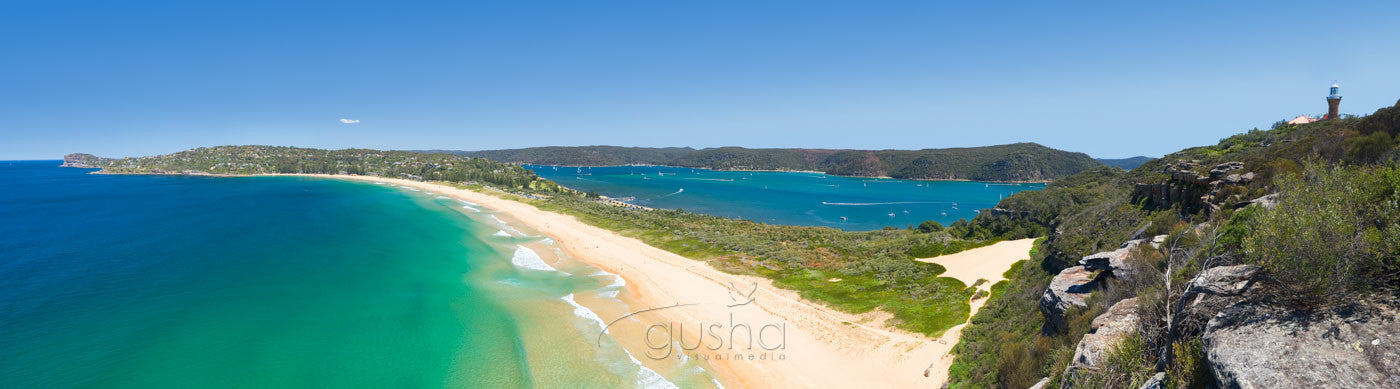 Photo of Palm Beach SYD0444 - Gusha