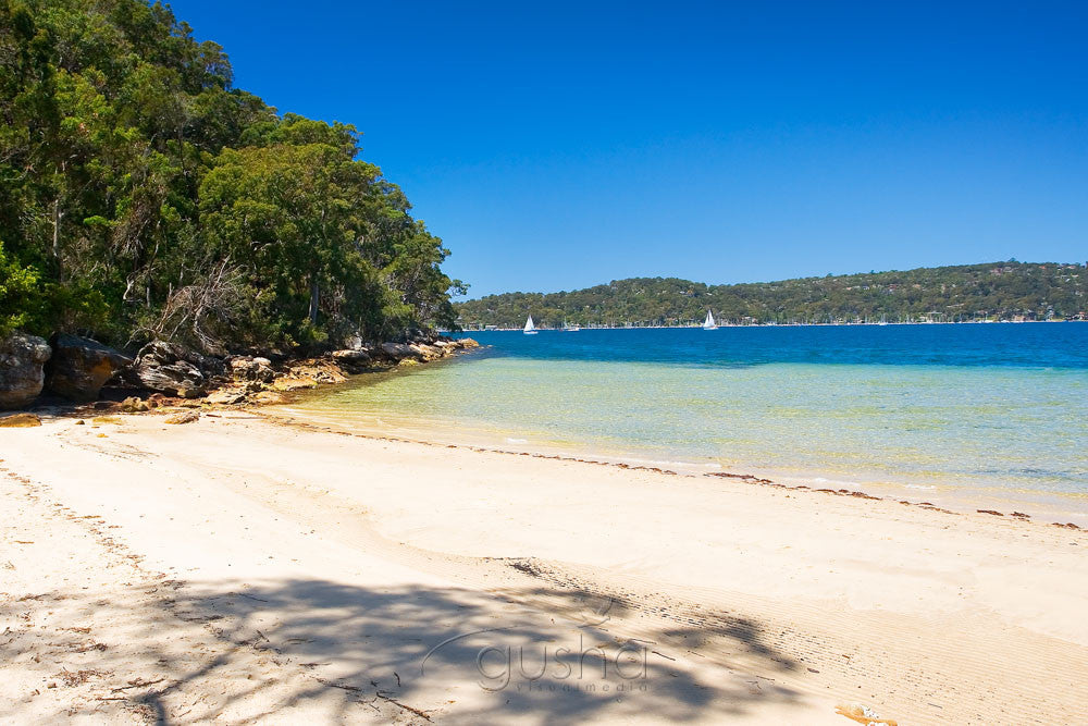 Photo of Lovett Bay SYD0452 - Gusha