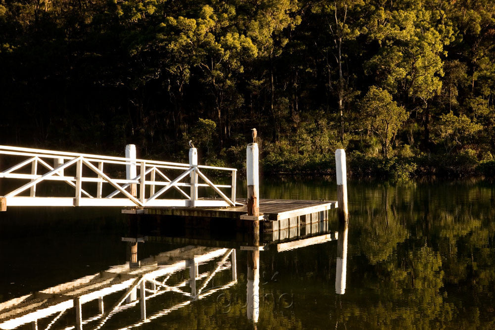Photo of McCarrs Creek SYD0461 - Gusha