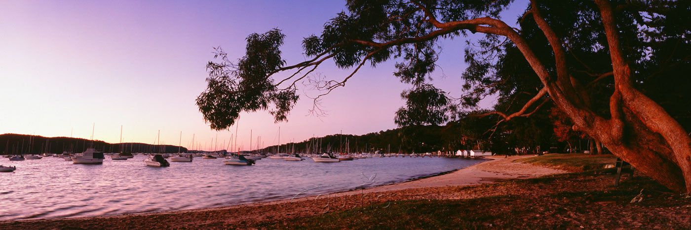 Photo of Clareville Beach SYD0593 - Gusha