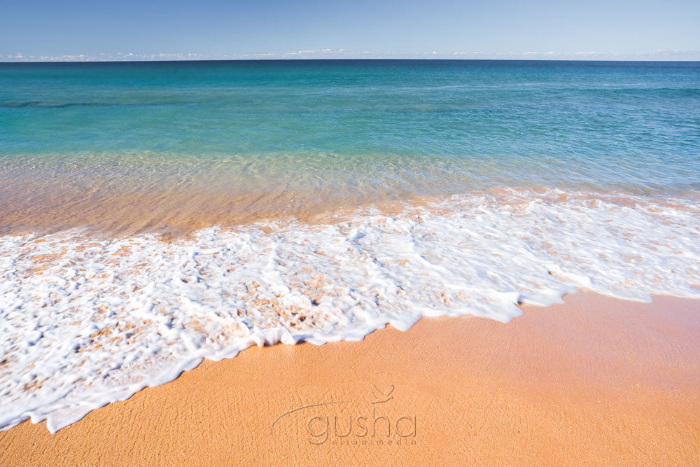 Photo of Palm Beach SYD0653 - Gusha