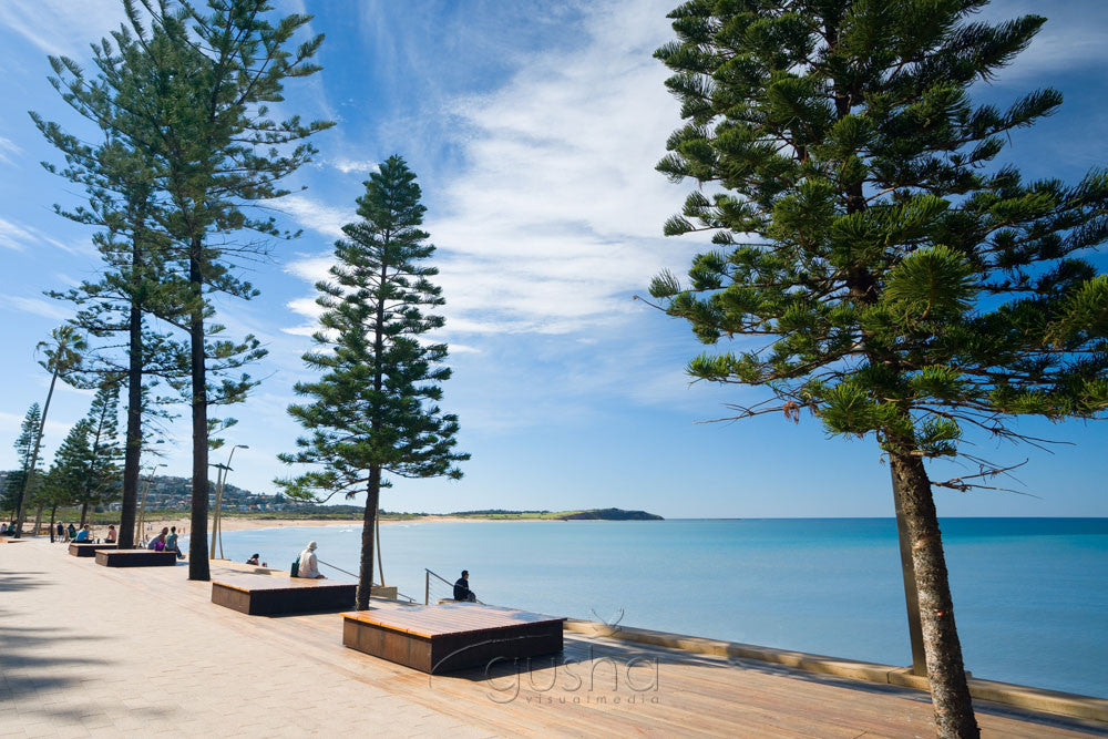 Photo of Dee Why Beach SYD0659 - Gusha