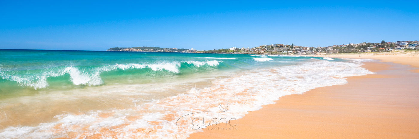 Photo of Curl Curl Beach SYD0723 - Gusha