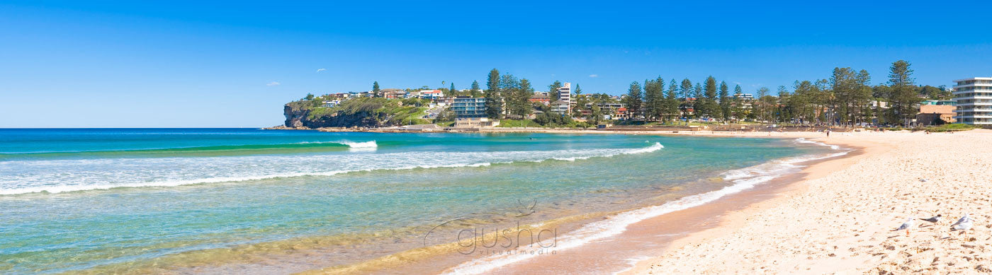 Photo of Dee Why Beach SYD0725 - Gusha