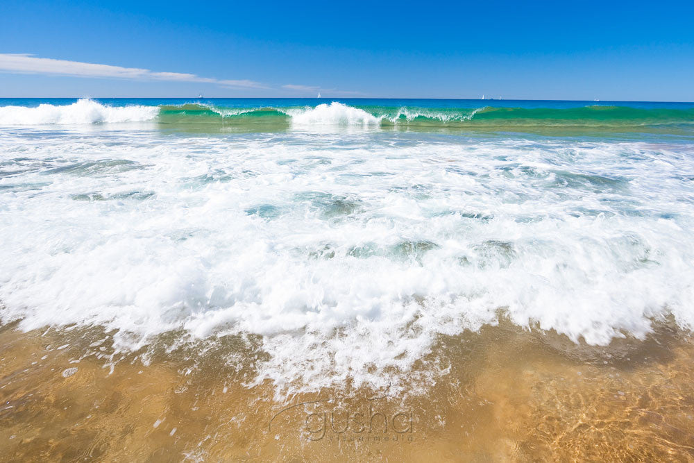 Photo of Bilgola Beach SYD0731 - Gusha
