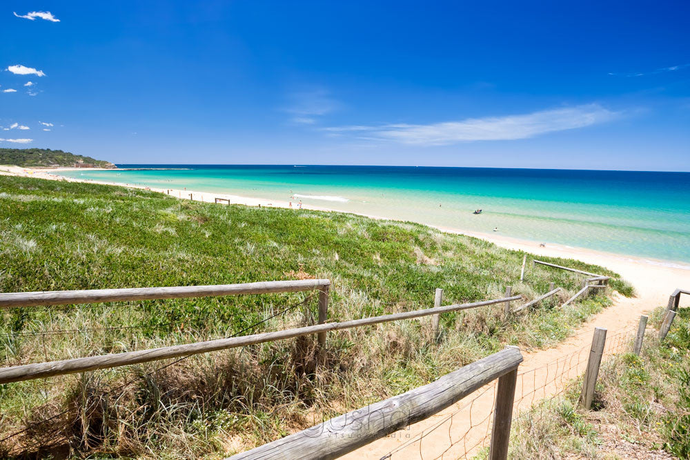 Photo of Narrabeen Beach SYD0801 - Gusha