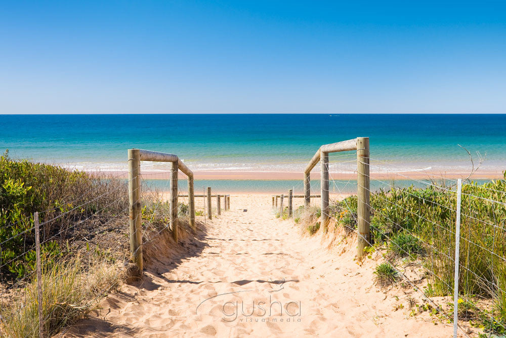 Photo of Collaroy Beach SYD0802 - Gusha