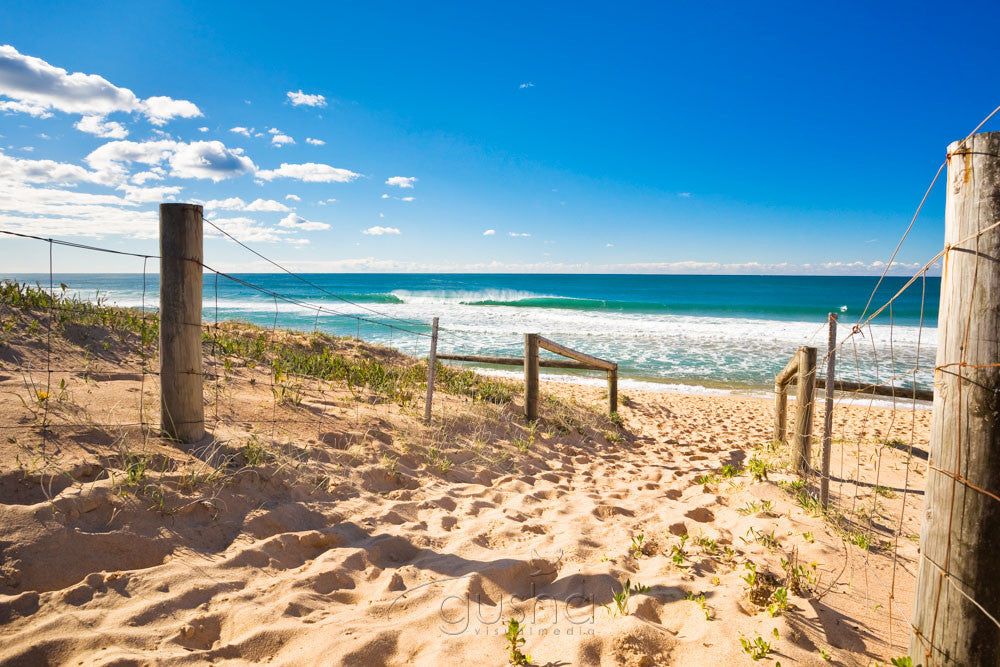 Photo of Narrabeen Beach SYD0805 - Gusha