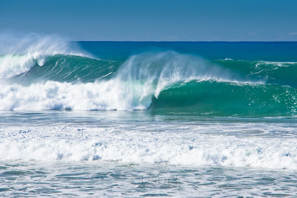 Photo of South Narrabeen SYD0806 - Gusha