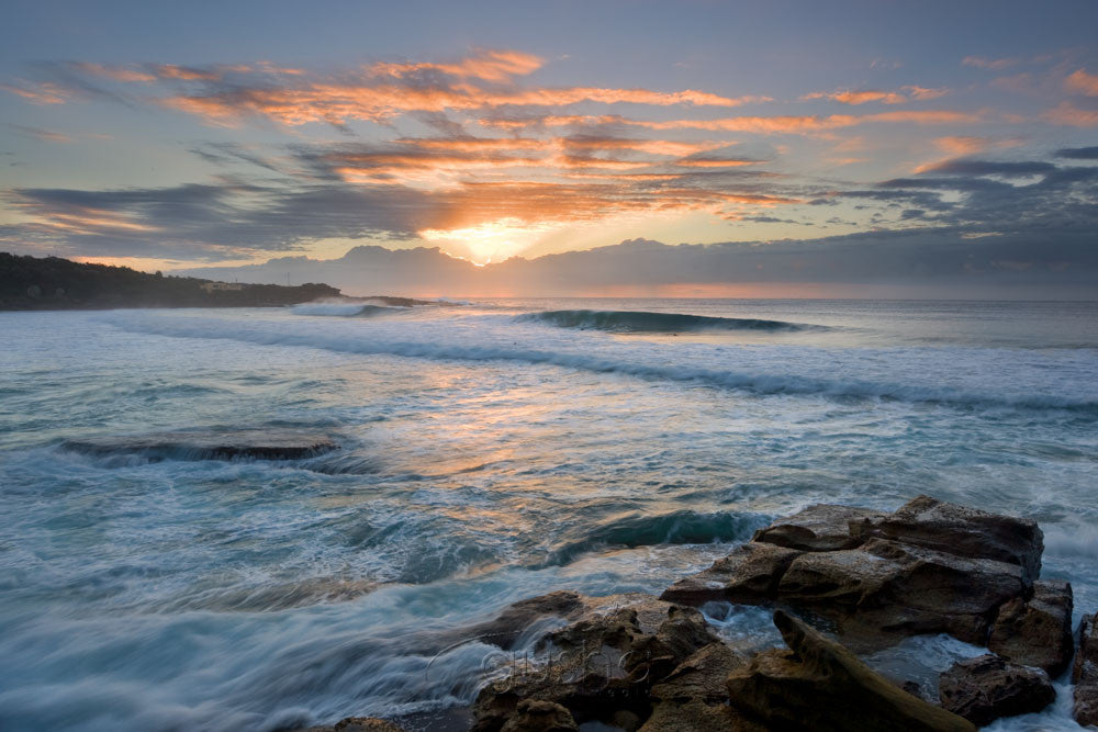 Photo of Freshwater Beach SYD0938 - Gusha