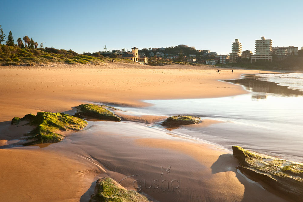 Photo of Freshwater Beach SYD0944 - Gusha