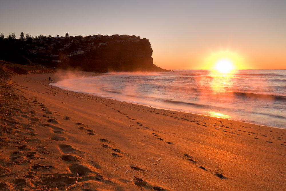 Photo of Bungan Beach SYD0962 - Gusha