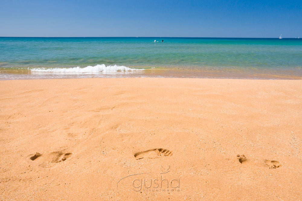 Photo of Bungan Beach SYD0964 - Gusha