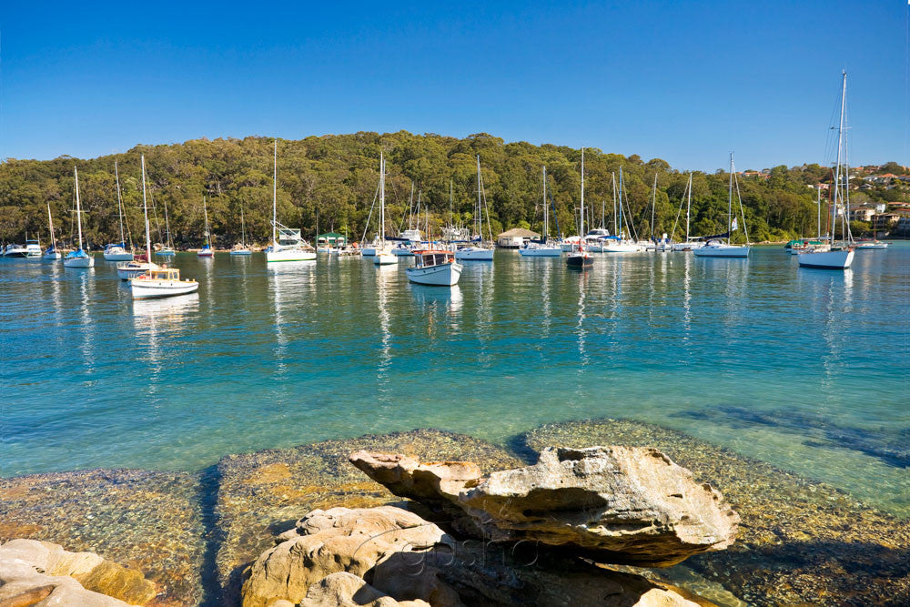 Photo of North Harbour SYD1028 - Gusha