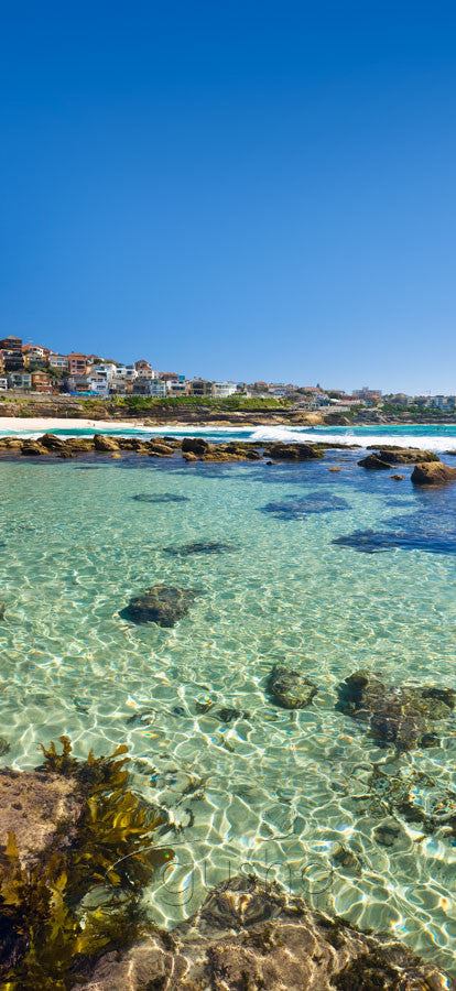 Photo of Bronte Beach SYD1062 - Gusha