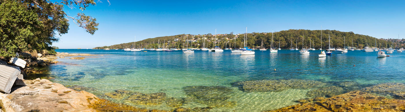 Photo of North Harbour SYD1104 - Gusha