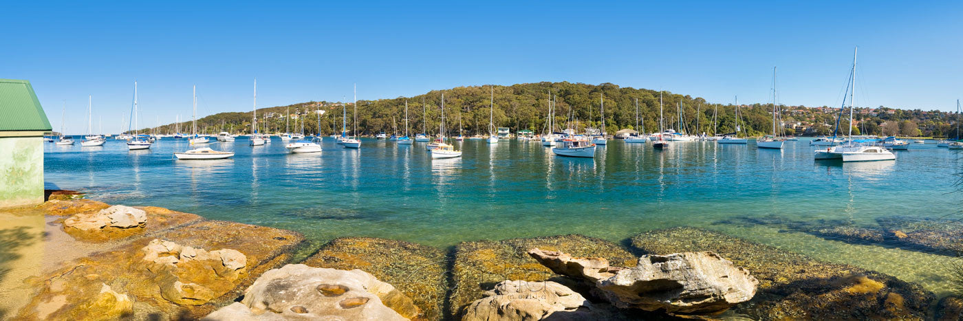 Photo of North Harbour SYD1105 - Gusha