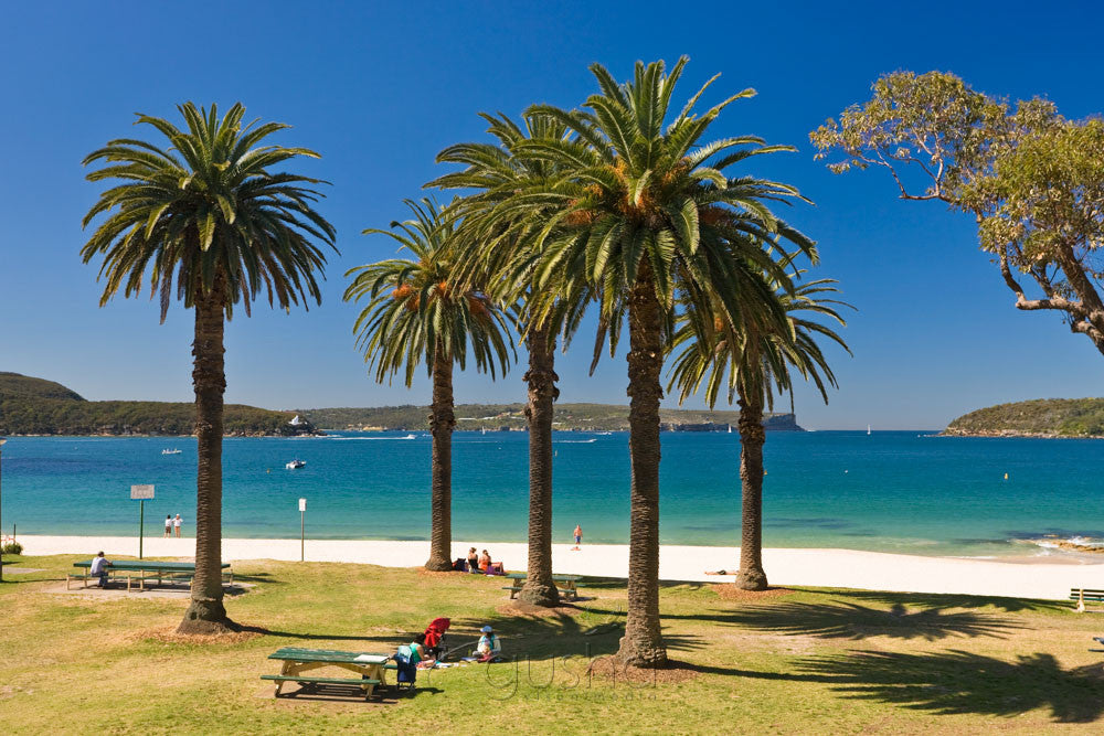 Photo of Edwards Beach SYD1121 - Gusha