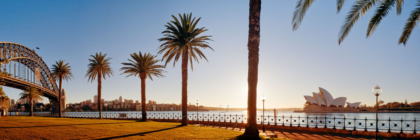 Photo of Sydney Harbour SYD1142 - Gusha