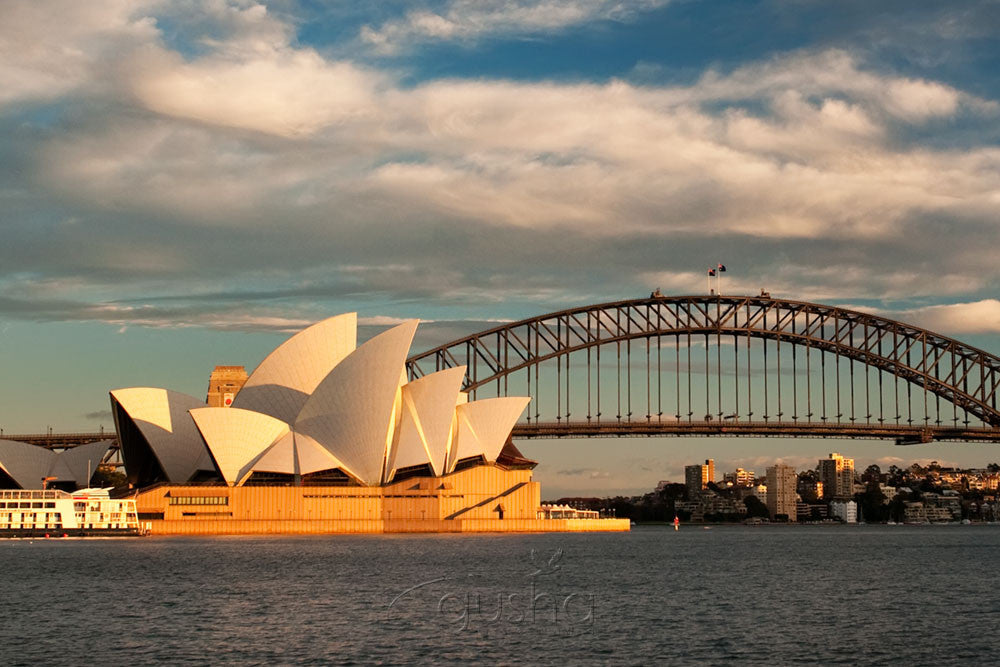 Photo of Sydney Harbour SYD1145 - Gusha