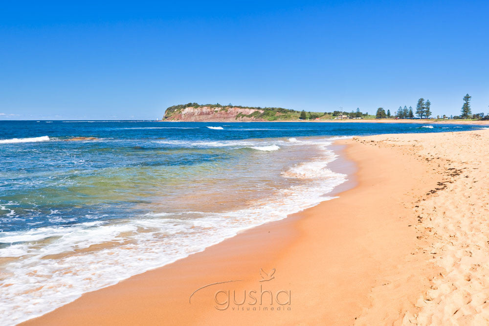 Photo of Fishermans Beach SYD1149 - Gusha