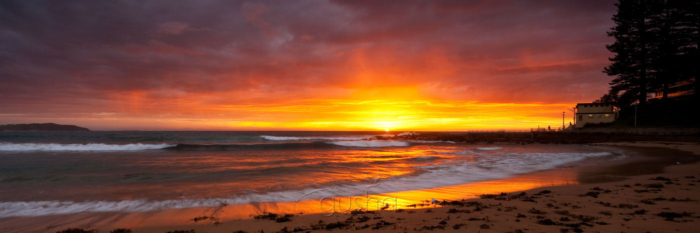 Photo of Dee Why Beach SYD1166 - Gusha