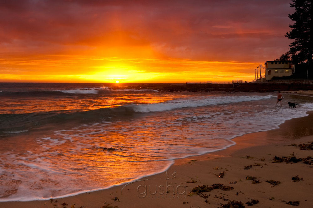 Photo of Dee Why Beach SYD1167 - Gusha