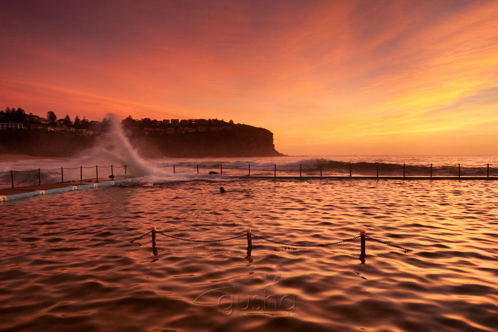 Photo of Bilgola Beach SYD1172 - Gusha