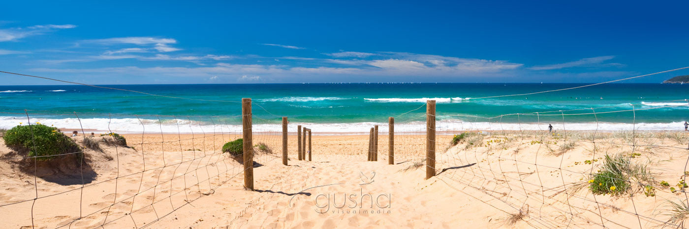 Photo of Curl Curl Beach SYD1178 - Gusha