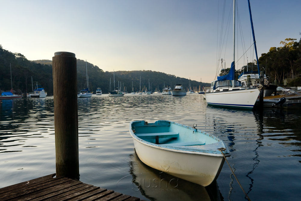 Photo of Pittwater SYD1283 - Gusha