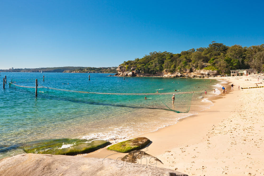 Photo of Shark Bay SYD1285 - Gusha
