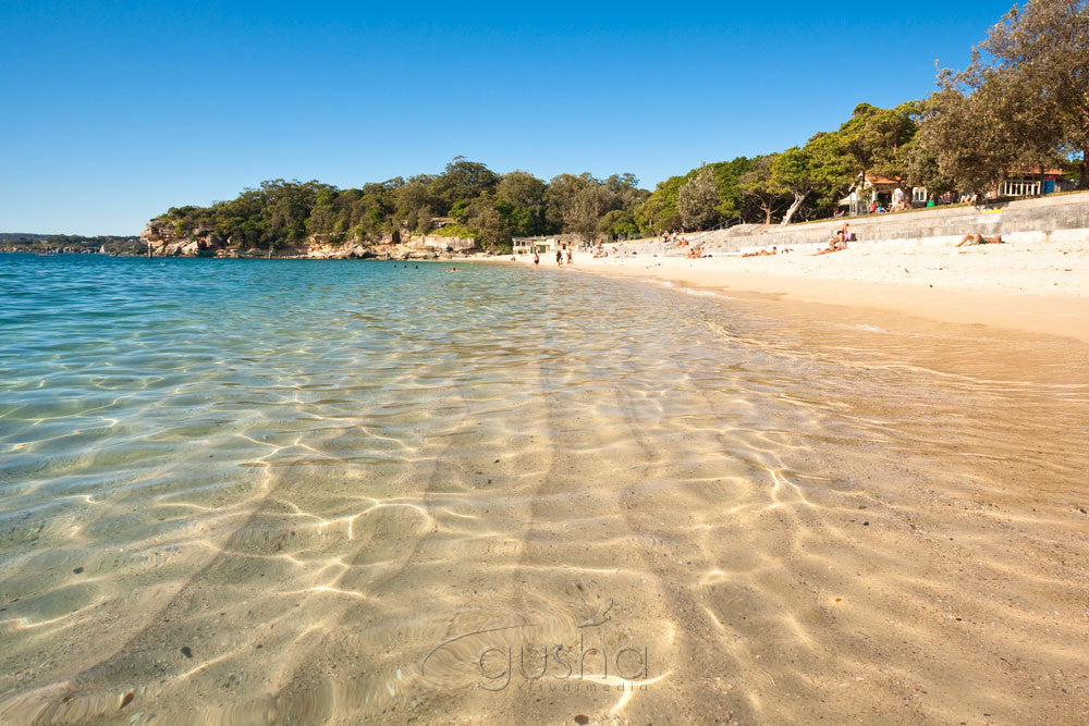 Photo of Shark Bay SYD1287 - Gusha