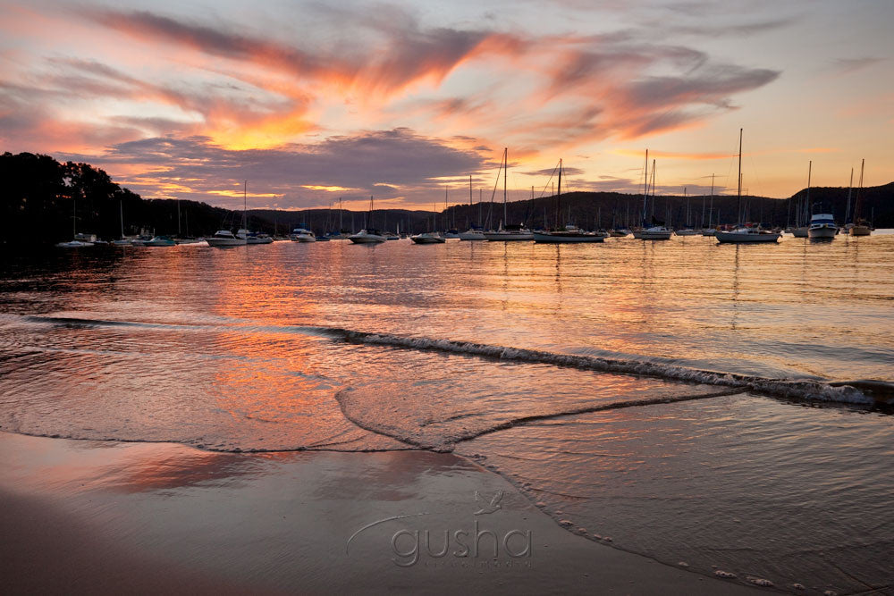 Photo of Clareville Beach SYD1309 - Gusha