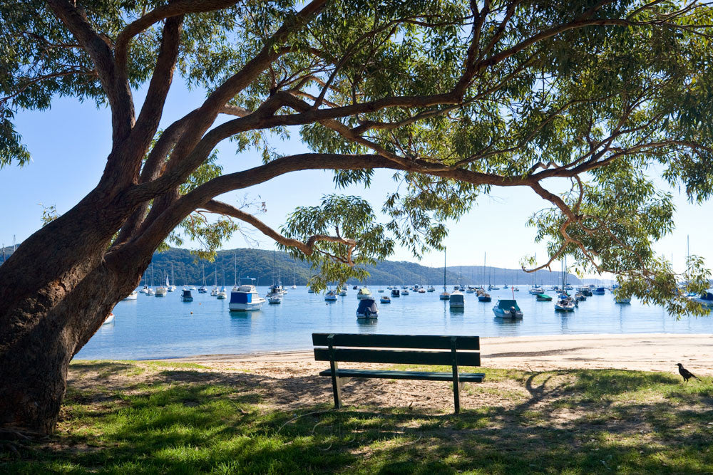 Photo of Clareville Beach SYD1313 - Gusha