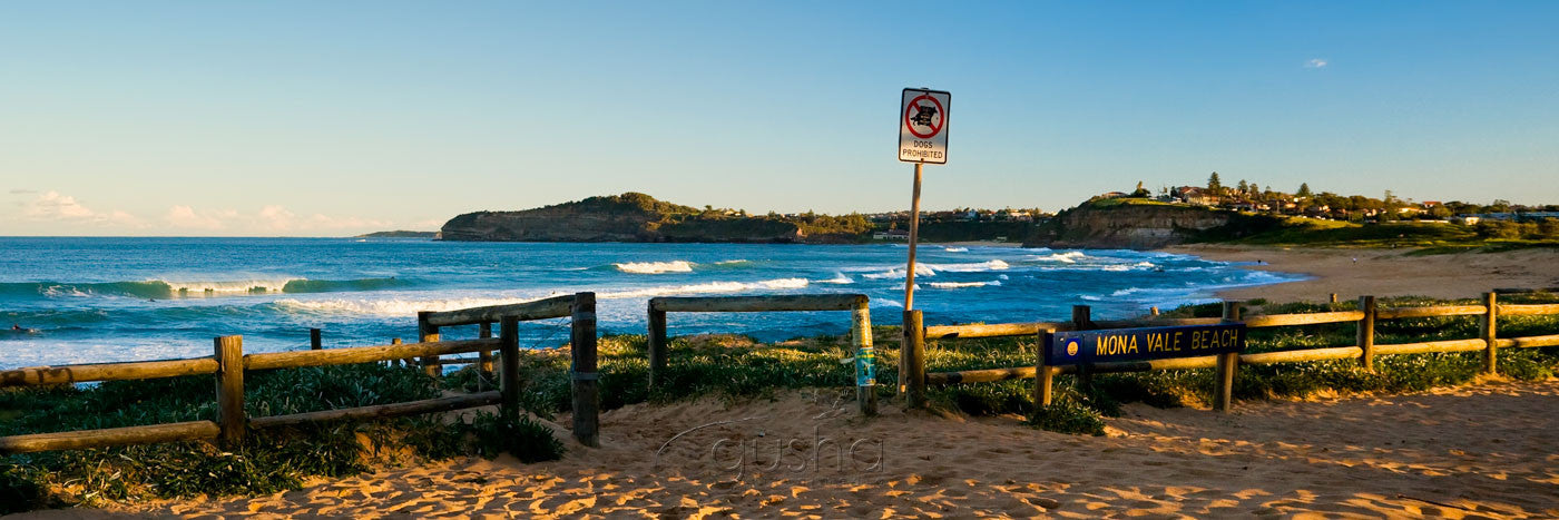 Photo of Mona Vale Beach SYD1337 - Gusha