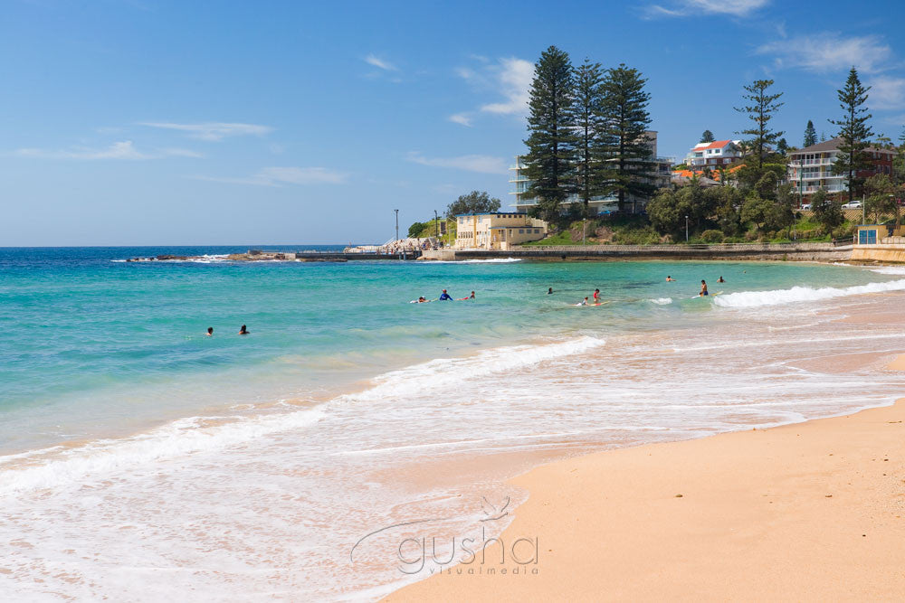 Photo of Dee Why Beach SYD1338 - Gusha