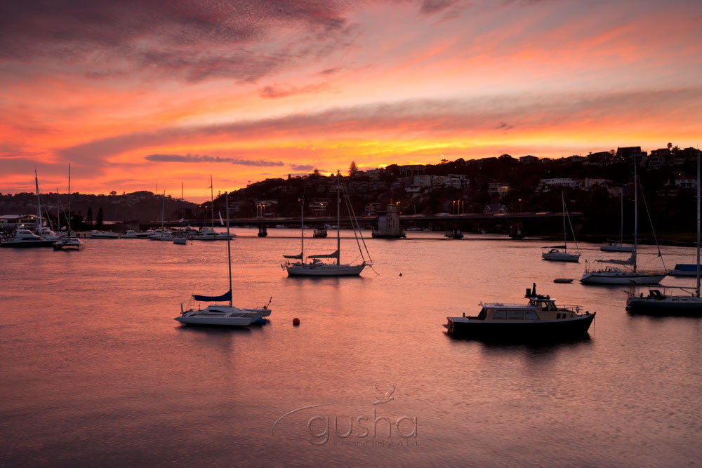 Photo of Spit sunset SYD2202 - Gusha