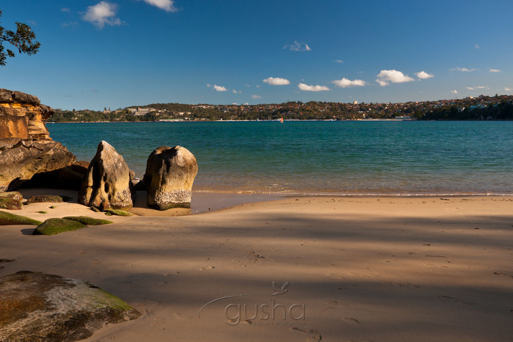 Photo of Castle Rock Beach SYD2219 - Gusha