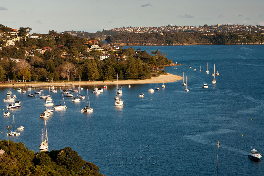 Photo of Clontarf and Middle Harbour SYD2221 - Gusha