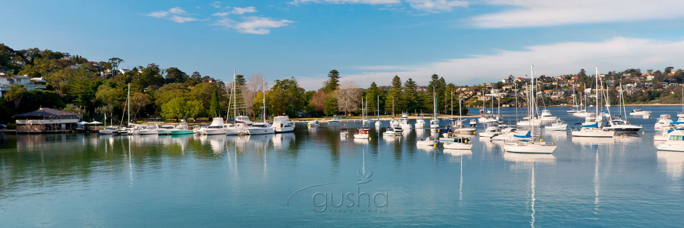 Photo of Clontarf SYD2227 - Gusha