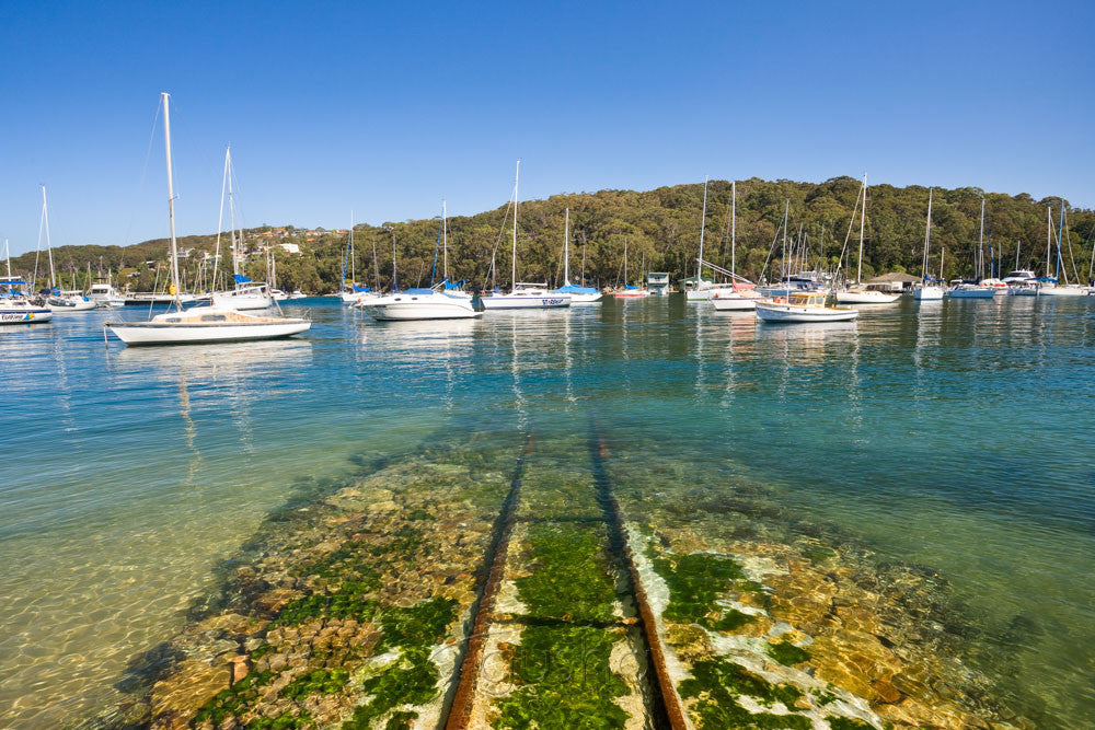 Photo of North Harbour SYD2259 - Gusha