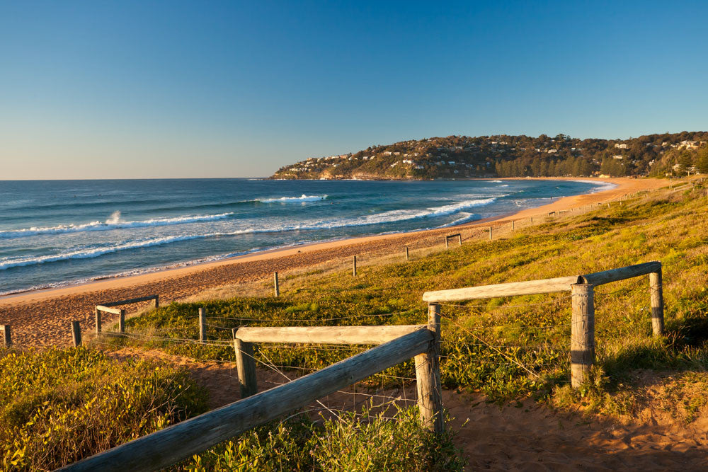 Photo of Palm Beach SYD2307 - Gusha