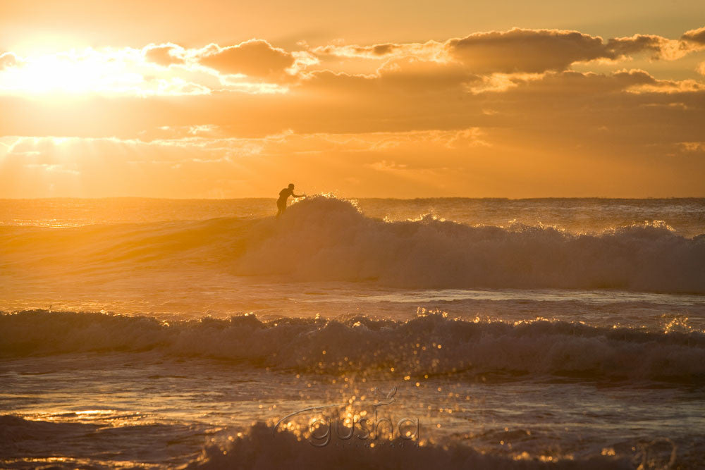 Photo of Newport Beach SYD2512 - Gusha
