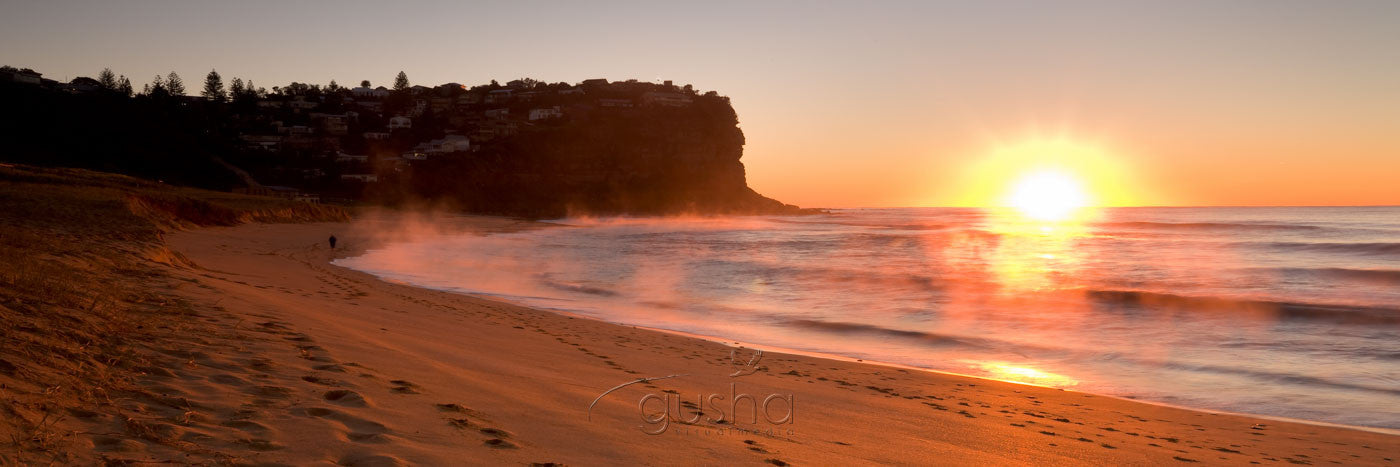 Photo of Bungan Beach SYD2621 - Gusha