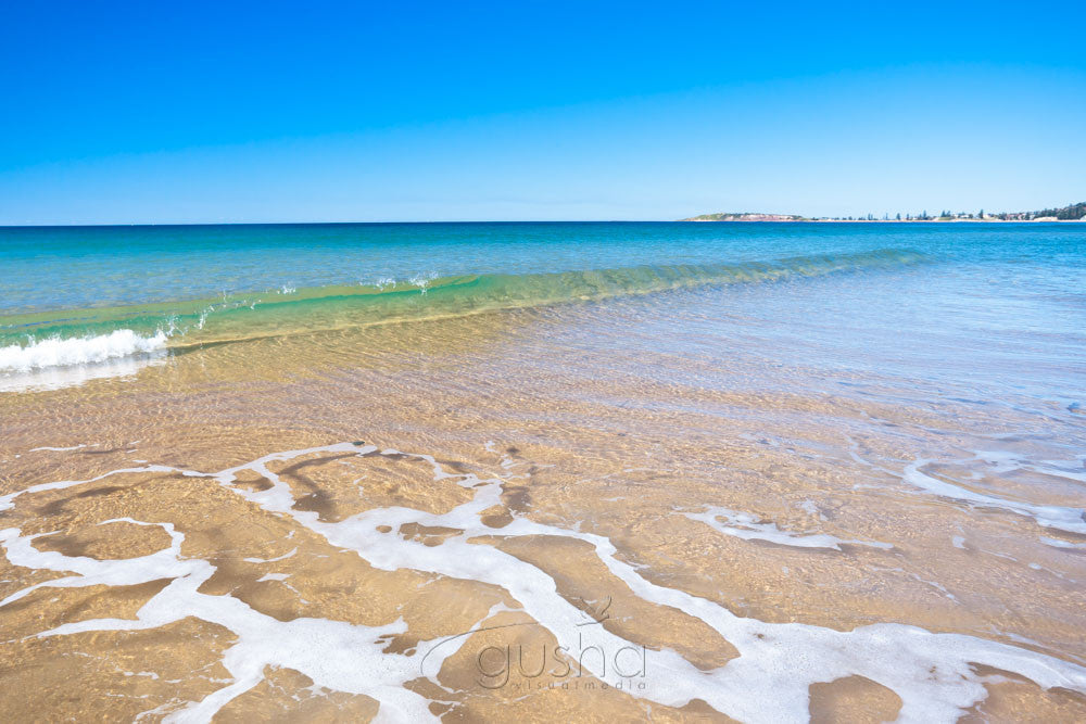 Photo of Narrabeen Beach SYD2644 - Gusha
