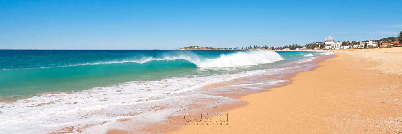 Photo of Collaroy Beach SYD2674 - Gusha