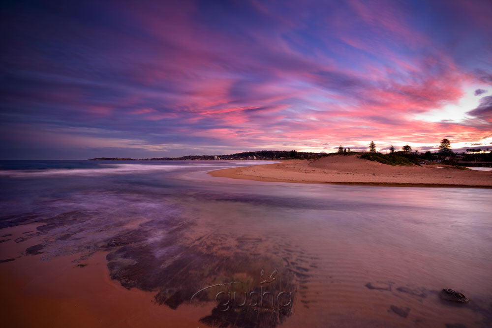Photo of Narrabeen Beach SYD2717 - Gusha